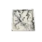 Jasmonito padėkliukas, kvadratinis