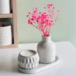 Rinkinukas-Gipso (RNG-NR 6-3) (150x150)