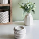 Sukta žvakė-Gipso (ŽVG 032-1)