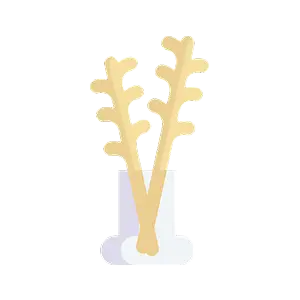 Namų kvapų lazdelės